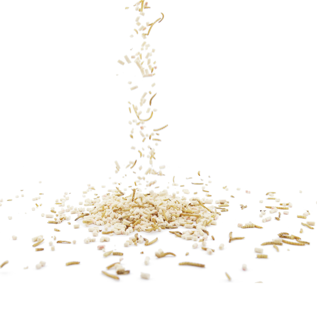 Proteinreicher Insekten-Mix 2,5 kg | Vogelfutter | CJ Wildlife